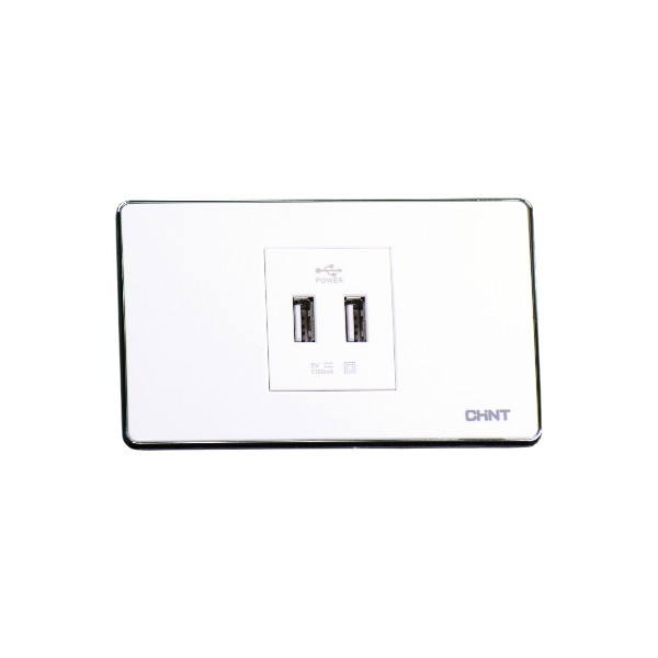CHINT New-5F USB Socket