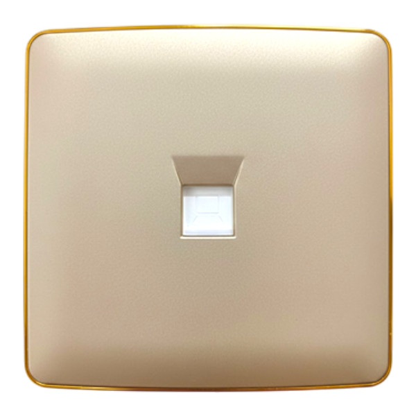 Africab Computer Socket gold