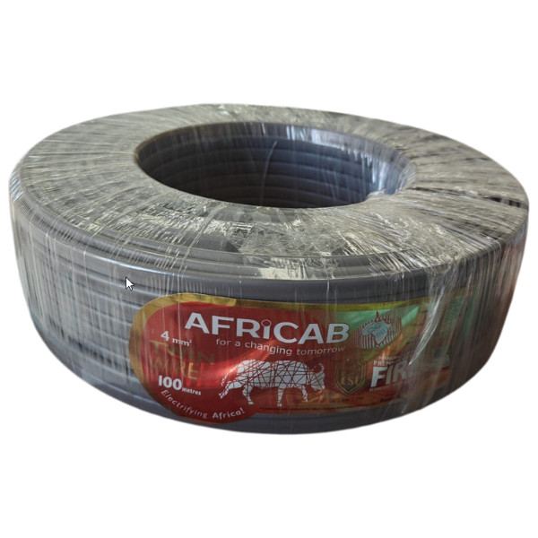 Twin Wires (100M Coil) 4 Sq.mm