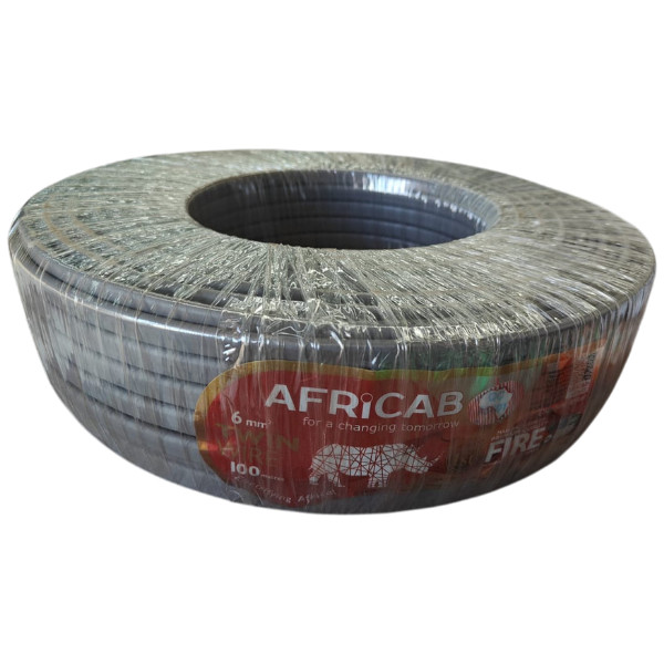 Twin Wires (100M Coil) 6 Sq.mm
