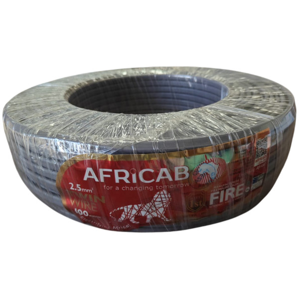 Twin Wires (100M Coil) 2.5 Sq.mm